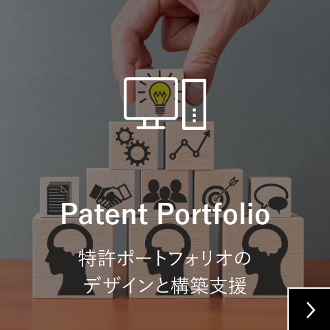 特許ポートフォリオのデザインと構築支援