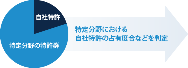 特定分野における自社特許の占有度合などを判定